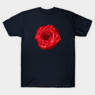 Rose Flower Abstract Nature Art T-Shirt